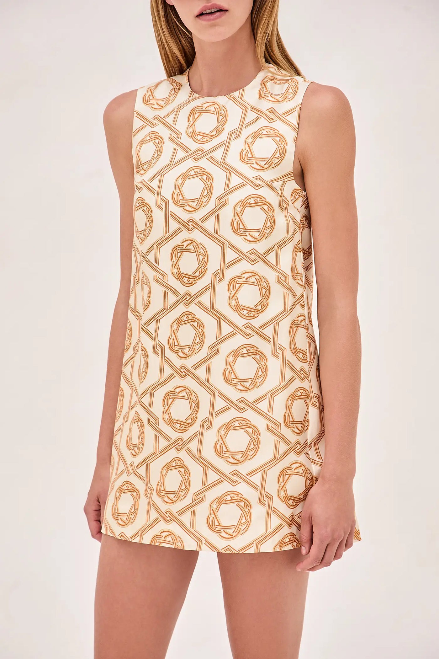 Anicka Dress - Ivory/Tan