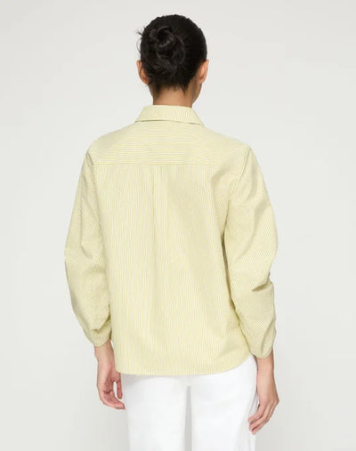 Stripe Cotton Ruched Sleeve Buttoned Shirt - Chartreuse Multi